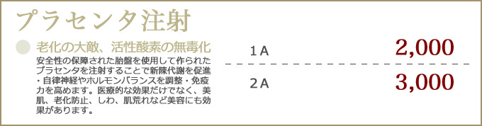 �v���Z���^����